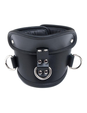 Deluxe Padded Leather Posture Collar w/ D Rings – Stockroom Wholesale