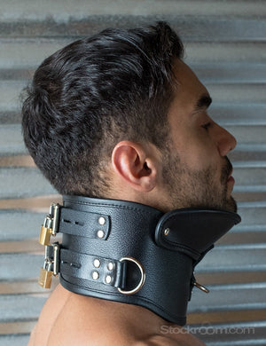 https://wholesale.stockroom.com/cdn/shop/products/j667-deluxe-padded-leather-posture-collar-c_300x.jpg?v=1596750040